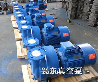 水环式真空泵,旋片式真空泵-南皮县兴东真空设备制造